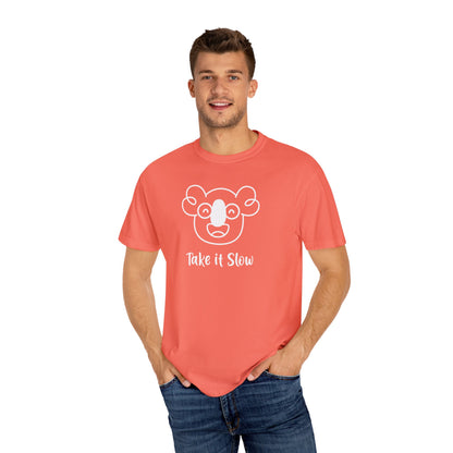 Boo's Take it Slow T-shirt - Vibrant Colors